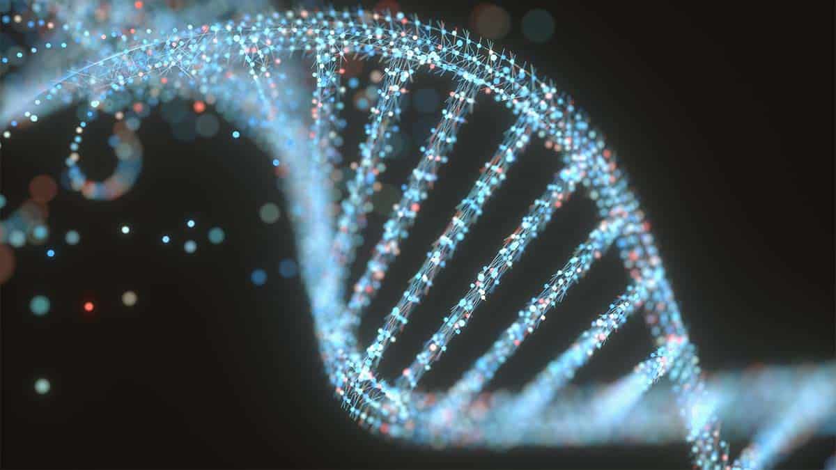 Fortschritte bei DNA-Tests in der heutigen Zeit