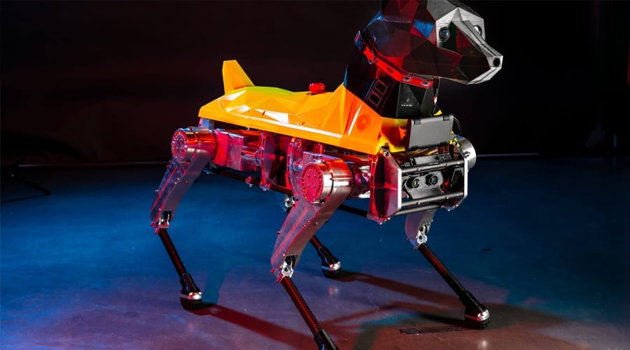 Robotic Dog