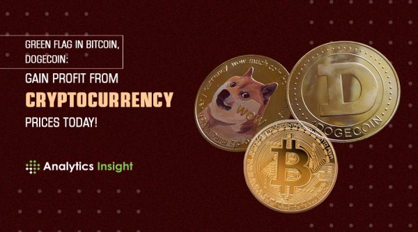 crypto gazzette dogecoin gains