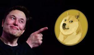 Musk MEME Coin